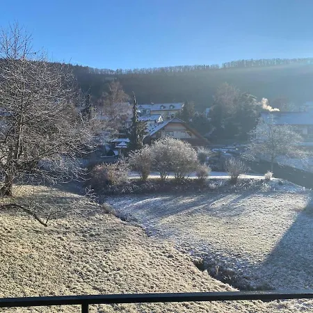 Daire Gemuetliche Mit Berg- Und Waldblick