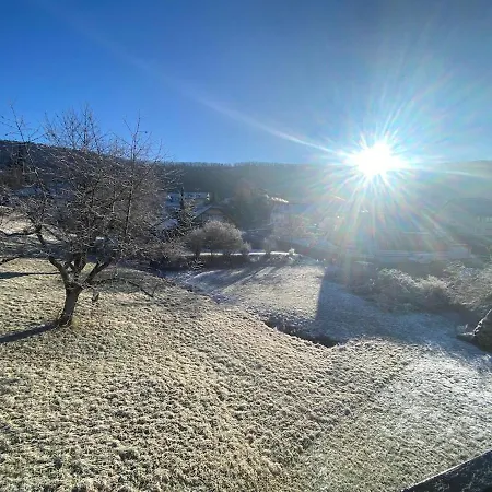 Gemuetliche Mit Berg- Und Waldblick Daire *