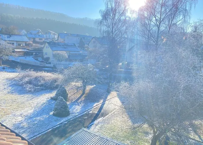 Gemuetliche Mit Berg- Und Waldblick * Balingen