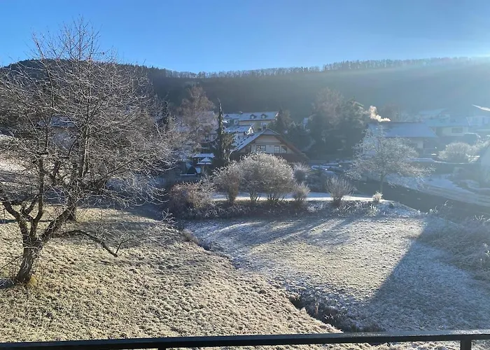 Appartement Gemuetliche Mit Berg- Und Waldblick